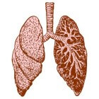 Fysiologie en aandoeningen van de longen en ademhaling